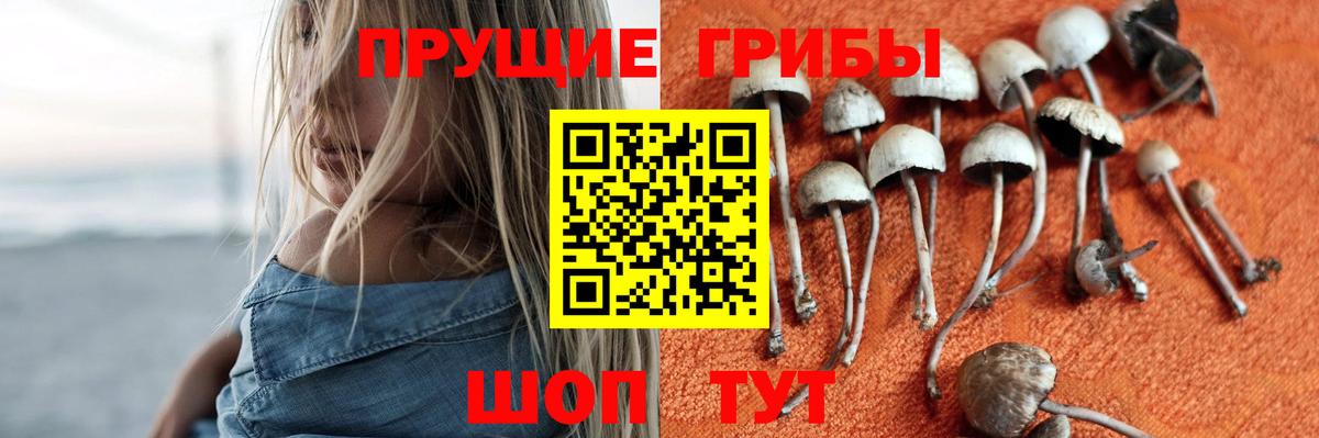 Псилоцибиновые грибы MAGIC MUSHROOMS Партизанск